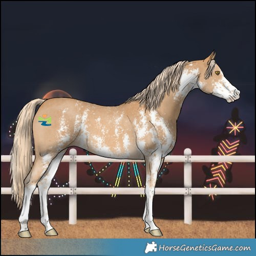 Horse Color:Palomino Sabino 