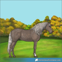 Horse Color:Silver Black 