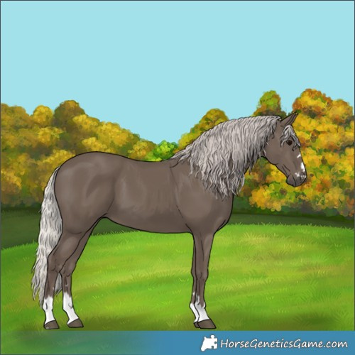Horse Color:Silver Black 
