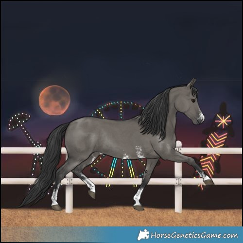 Horse Color:Grullo Sabino Rabicano 