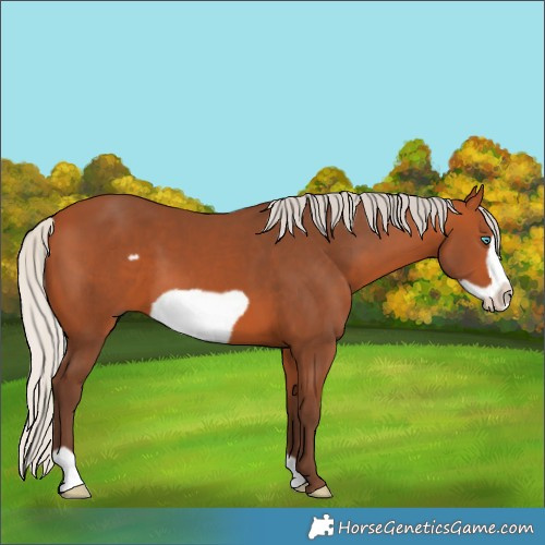 Horse Color:Silver Bay Frame
