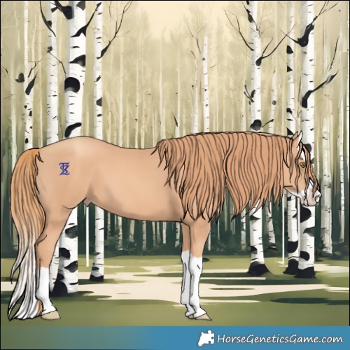 Horse Color:Gold Champagne Splash 