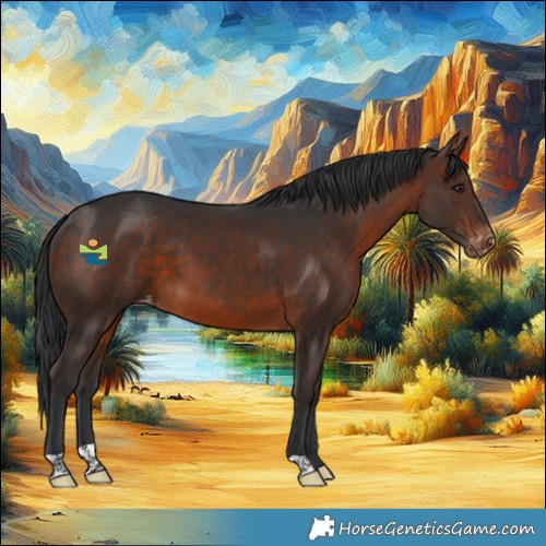 Horse Color:Brown Appaloosa 