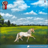Horse Color:Palomino Splash Blanket 