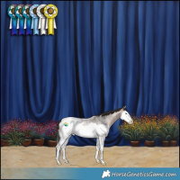 Horse Color:Bay Roan Splash Snowcap 