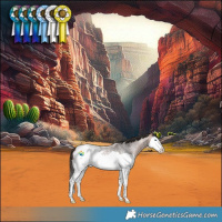 Horse Color:Bay Roan Splash Snowcap 