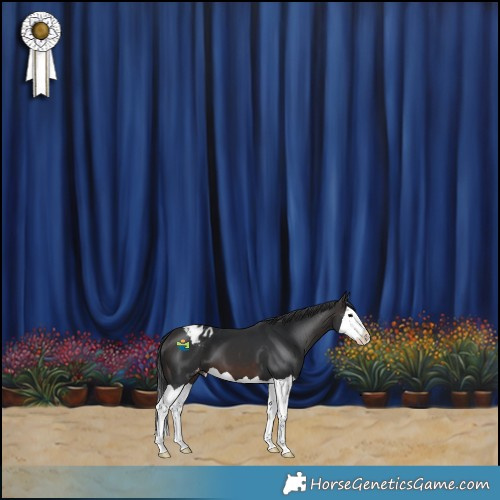 Horse Color:Brown Splash Blanket 