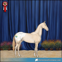 Horse Color:Smoky Black Pearl Splash Blanket