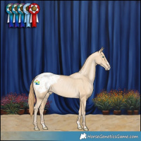Horse Color:Smoky Black Pearl Splash Blanket 