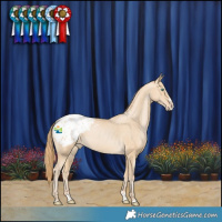 Horse Color:Smoky Black Pearl Splash Blanket 