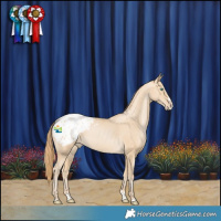 Horse Color:Smoky Black Pearl Splash Blanket