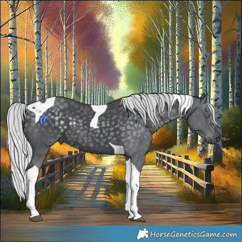 Horse Color:Silver Black Chinchilla Tobiano 