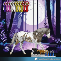 Horse Color:Silver Buckskin Splash Tobiano Blanket