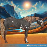 Horse Color:White Spotted Liver Chestnut Sabino Varnish 
