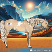 Horse Color:White Spotted Chocolate Palomino Dun Rabicano