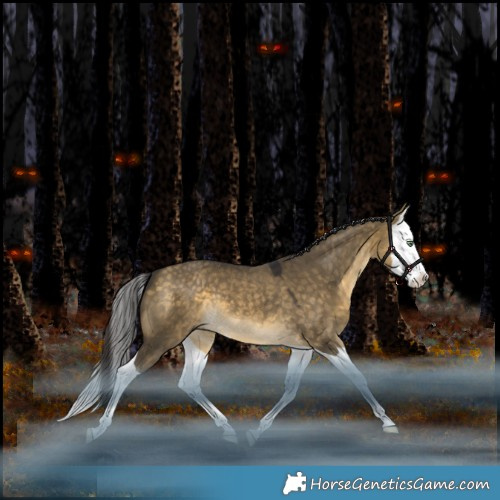 Horse Color:Buckskin Dun Splash