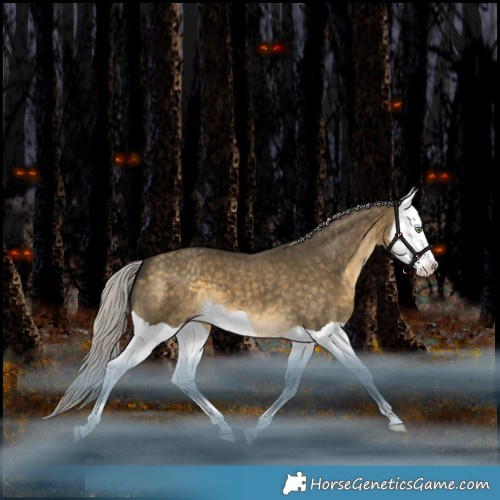 Horse Color:Silver Buckskin Dun Splash