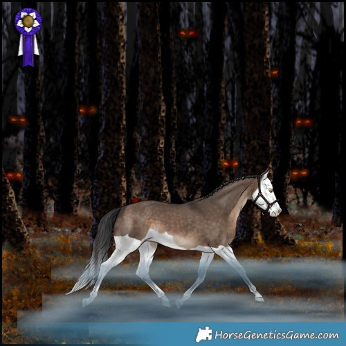 Horse Color:Bay Dun Splash