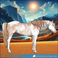 Horse Color:Red Dun Splash Tobiano