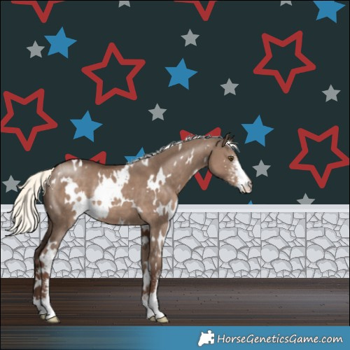 Horse Color:White Spotted Liver Red Dun Mushroom Sabino Rabicano 