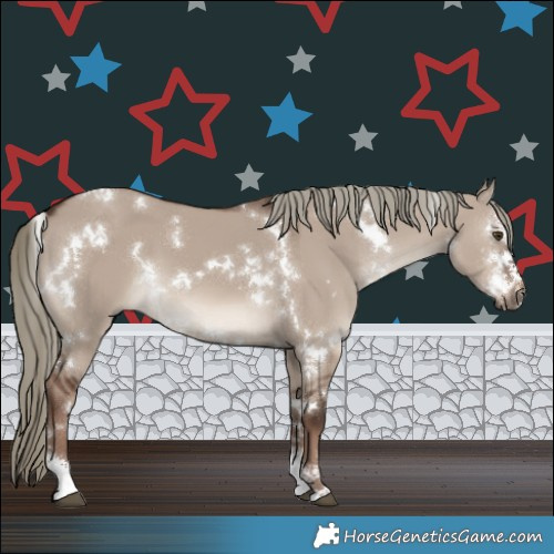 Horse Color:White Spotted Liver Red Dun Mushroom Sabino 