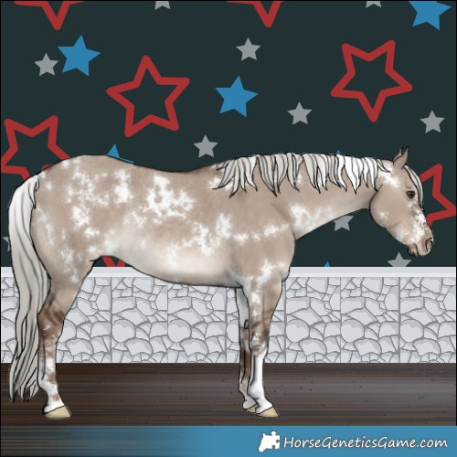 Horse Color:White Spotted Liver Red Dun Mushroom Sabino Rabicano 