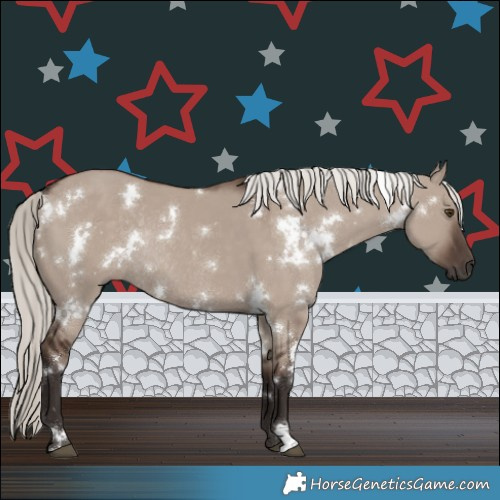 Horse Color:White Spotted Liver Red Dun Mushroom Rabicano 