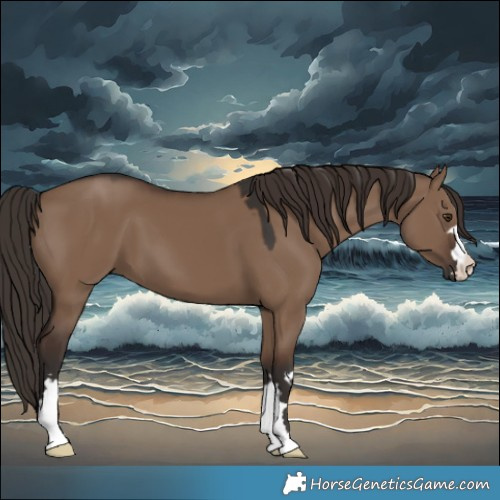 Horse Color:Liver Red Dun 