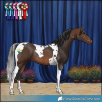 Horse Color:Brown Tobiano Rabicano