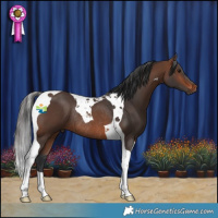 Horse Color:Brown Tobiano Rabicano