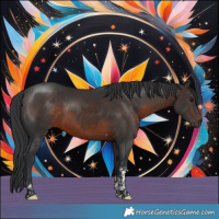 Horse Color:Brown Tobiano