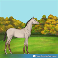 Horse Color:Sable Champagne Dun Sabino 