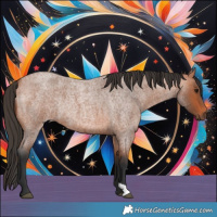 Horse Color:Bay Roan Rabicano