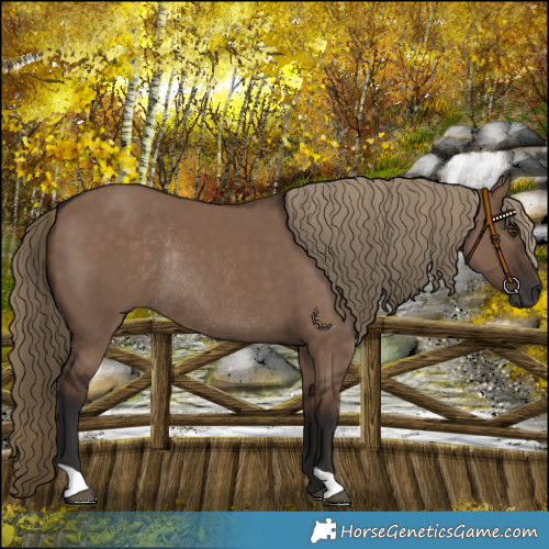 Horse Color:Liver Red Dun Rabicano