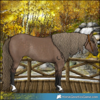 Horse Color:Liver Red Dun Rabicano