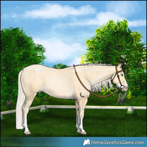 Horse Color:Palomino Pearl Splash 