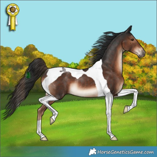 Horse Color:Liver Chestnut Tobiano Rabicano 