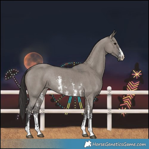 Horse Color:Smoky Grullo Sabino Rabicano 