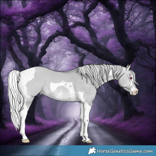 Horse Color:Silver Brown Chinchilla Dun Sabino Tobiano 
