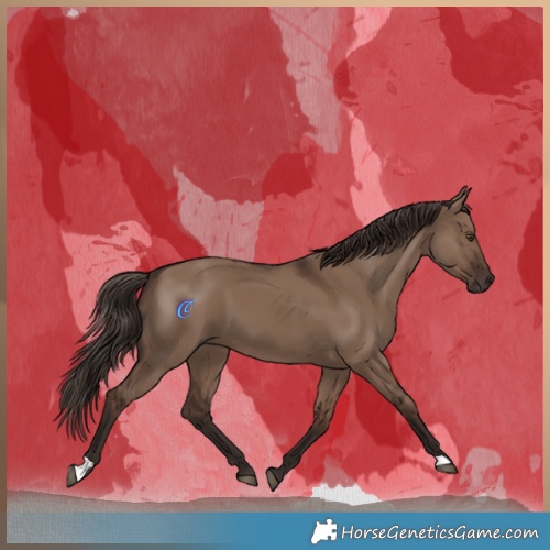 Horse Color:Liver Red Dun