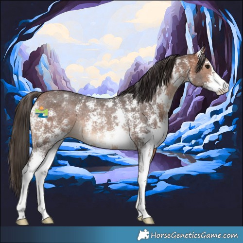 Horse Color:Bay Sabino Varnish Rabicano