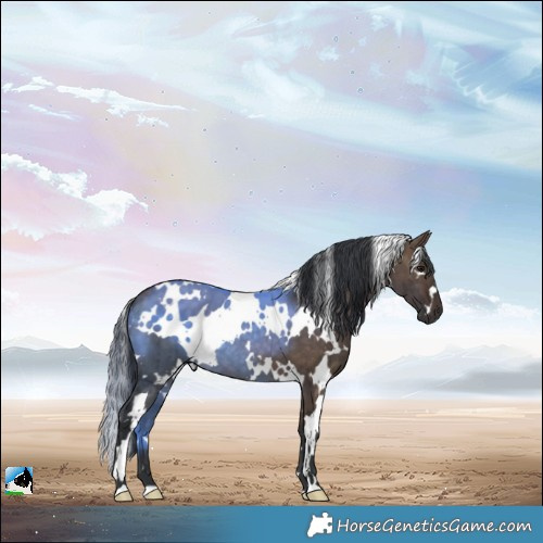Horse Color:White Spotted Brown Ice Dun Brindle 