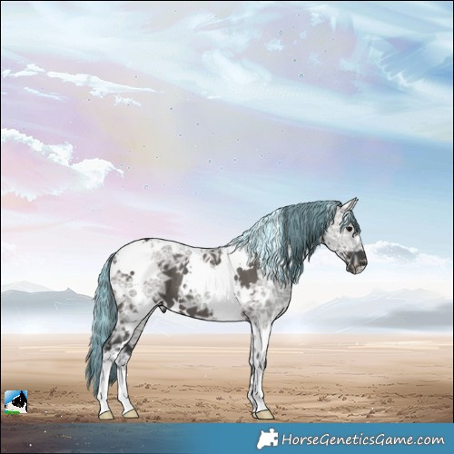 Horse Color:Painted White Spotted Grullo Ice Brindle 