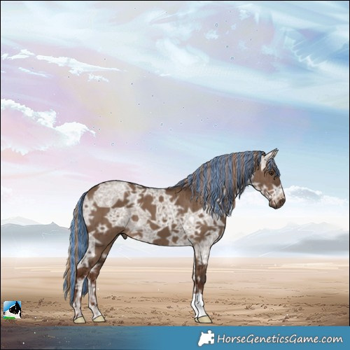 Horse Color:Painted Liver Red Dun Ice Brindle 