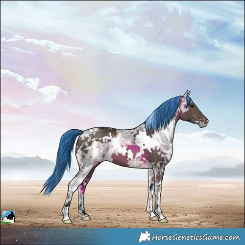 Horse Color:Painted White Spotted Brown Ice Dun 