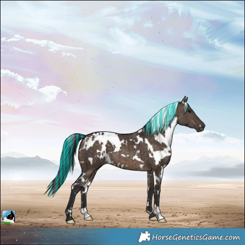 Horse Color:Painted White Spotted Brown Dun Brindle 