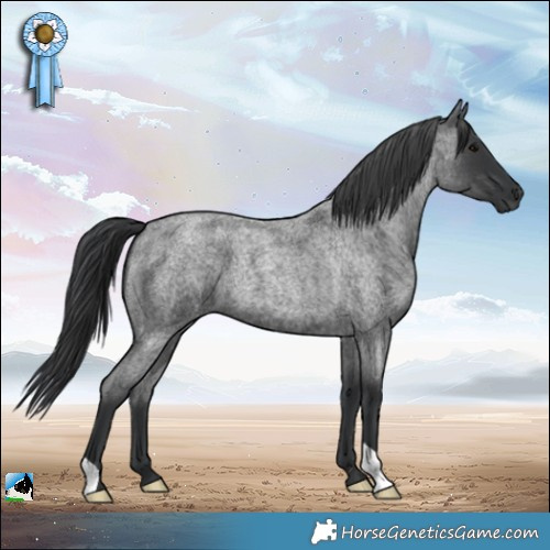 Horse Color:Blue Roan 