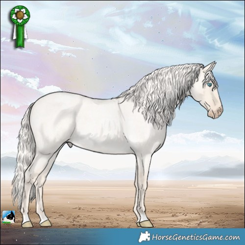 Horse Color:Cremello Roan Dun 