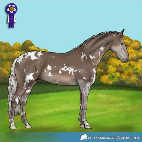 Horse Color:White Spotted Silver Smoky Black