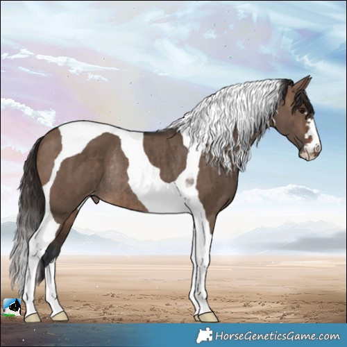 Horse Color:Brown Dun Tobiano Appaloosa Rabicano Brindle 